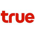 True Partner Shop logo โลโก้